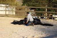 /album/galerie-de-photos-page-daccueil/dark-udo-moi-1-jpeg/
